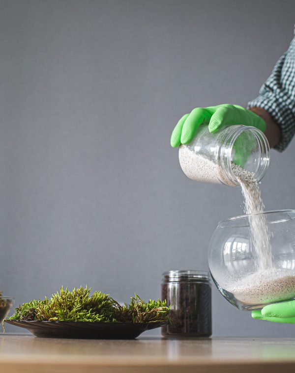 close-up of gloved hands pouring perlite into a vase. preparation for transplanting indoor plants